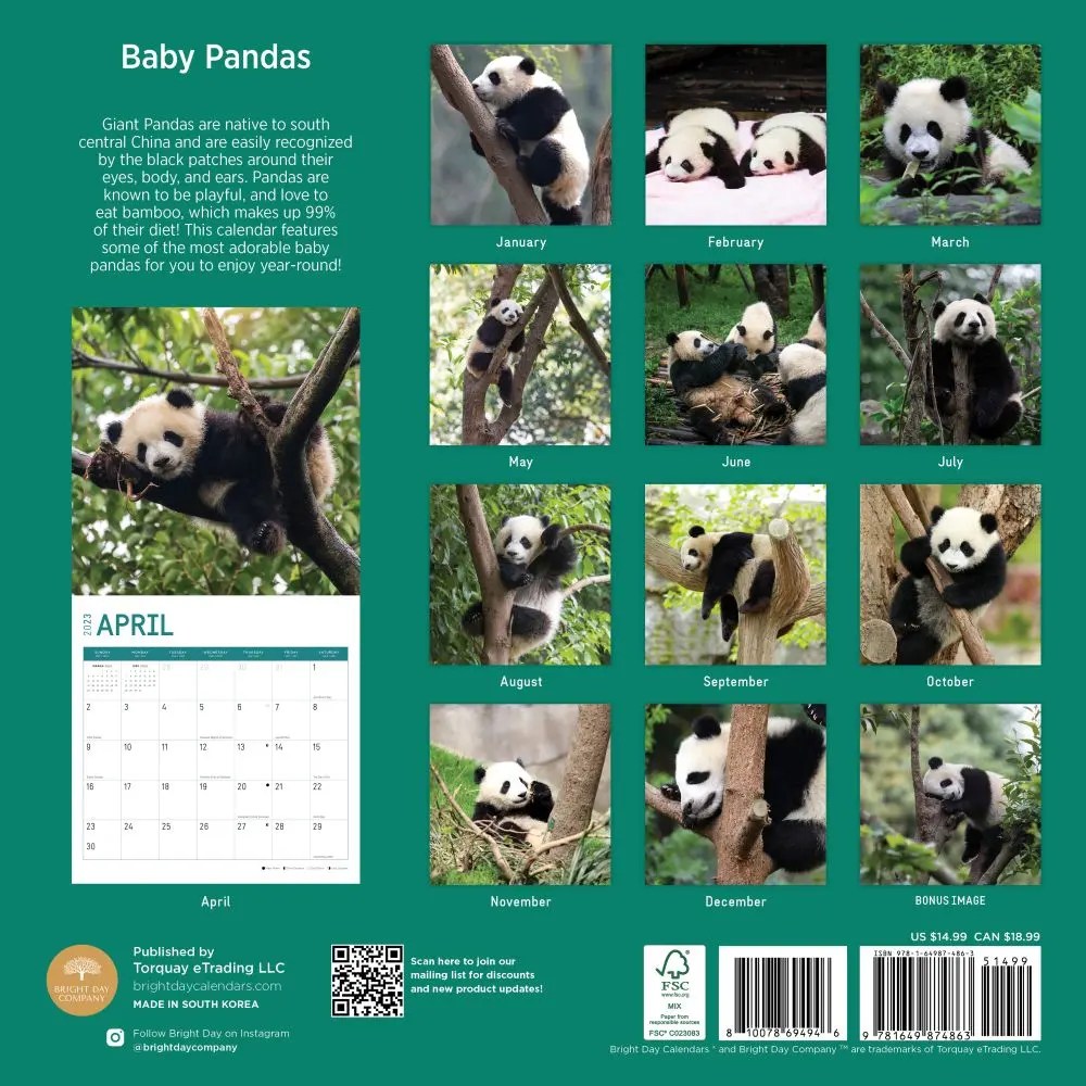 BabyPandas2023WallCalendar