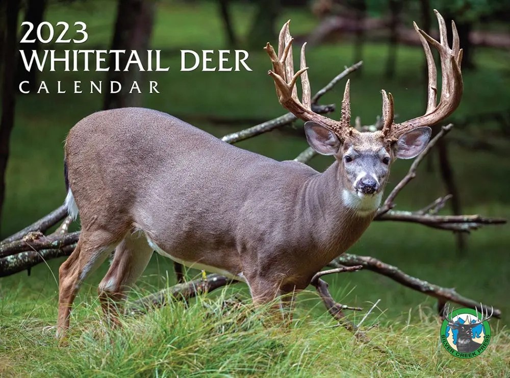 Whitetail Deer 2023 Wall Calendar
