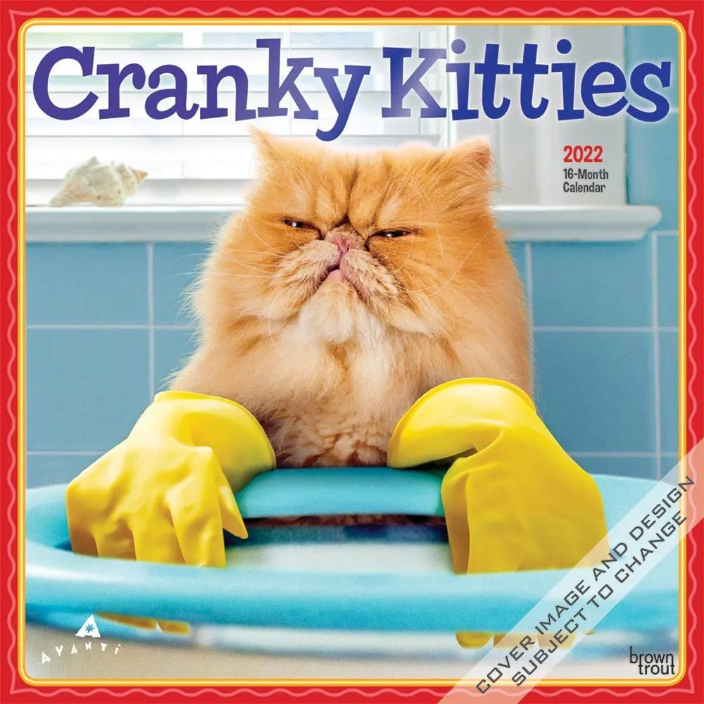 Funny Cats 2022 Calendar