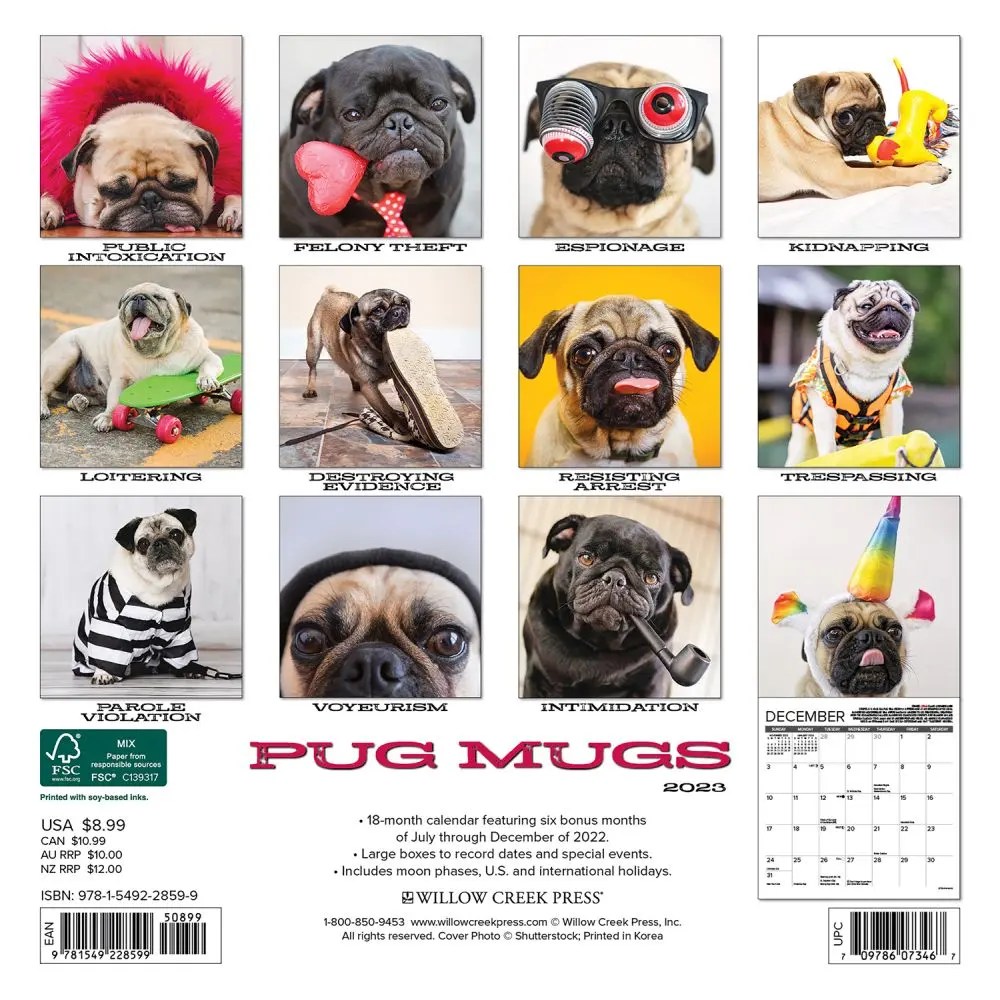 Pug Mugs 2023 Mini Wall Calendar