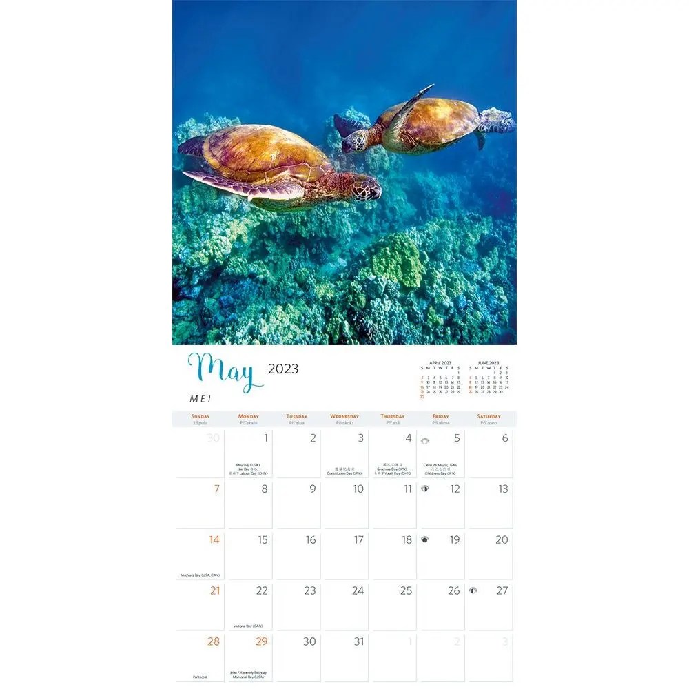 Hawaiian Sea Turtles 2023 Wall Calendar