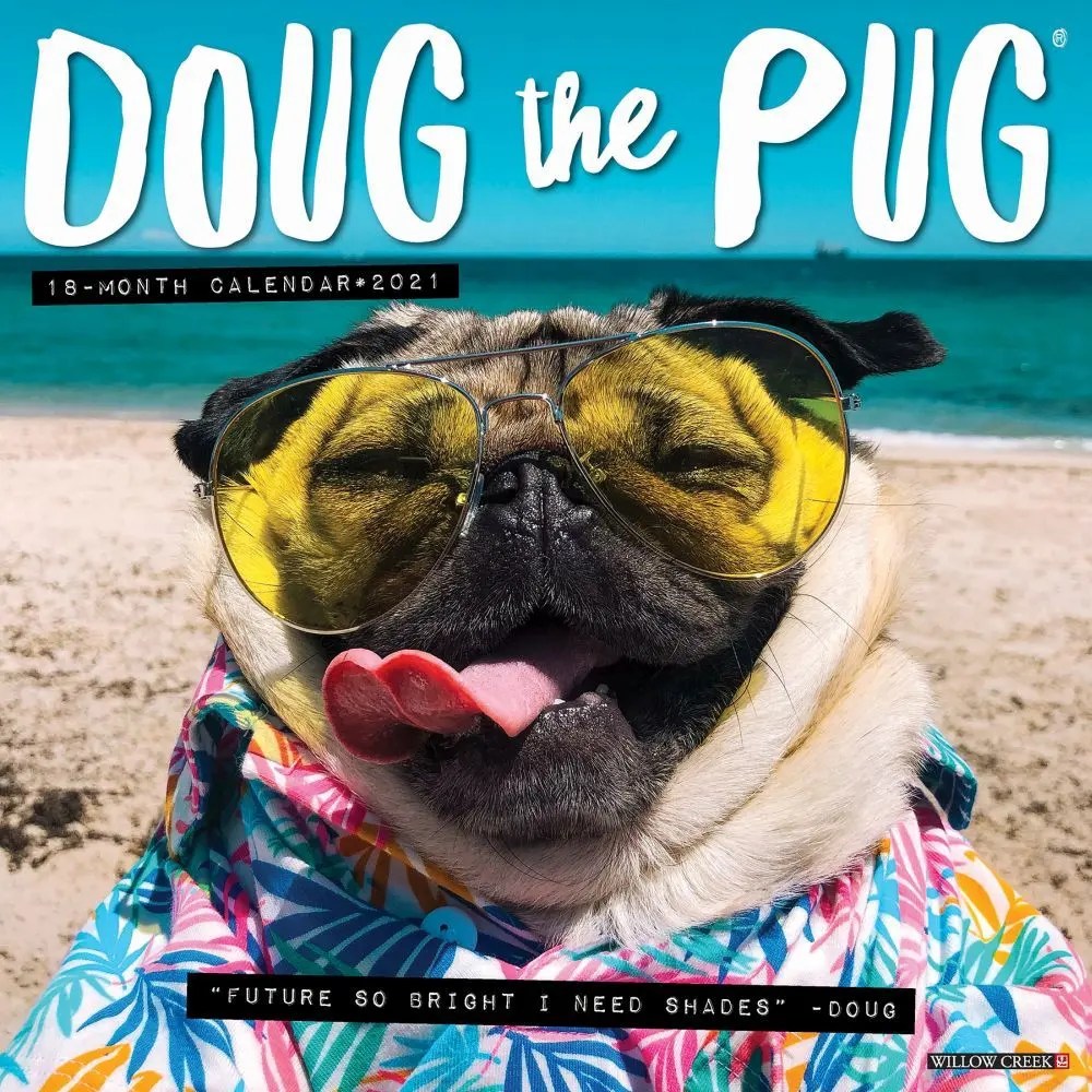 Doug the Pug Wall Calendar