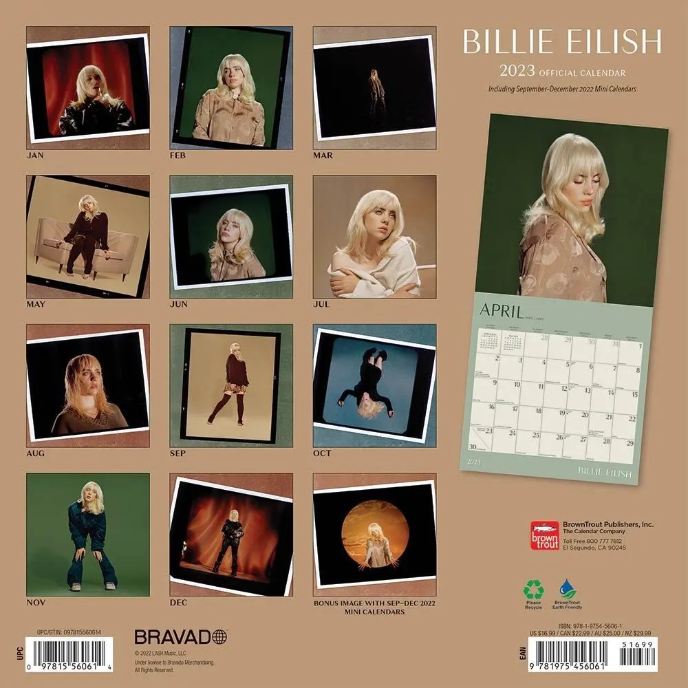 family guy 2023 calendar Billie Eilish 2023 Wall Calendar