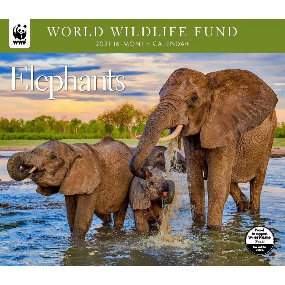2025 Wwf Elephant Calendar