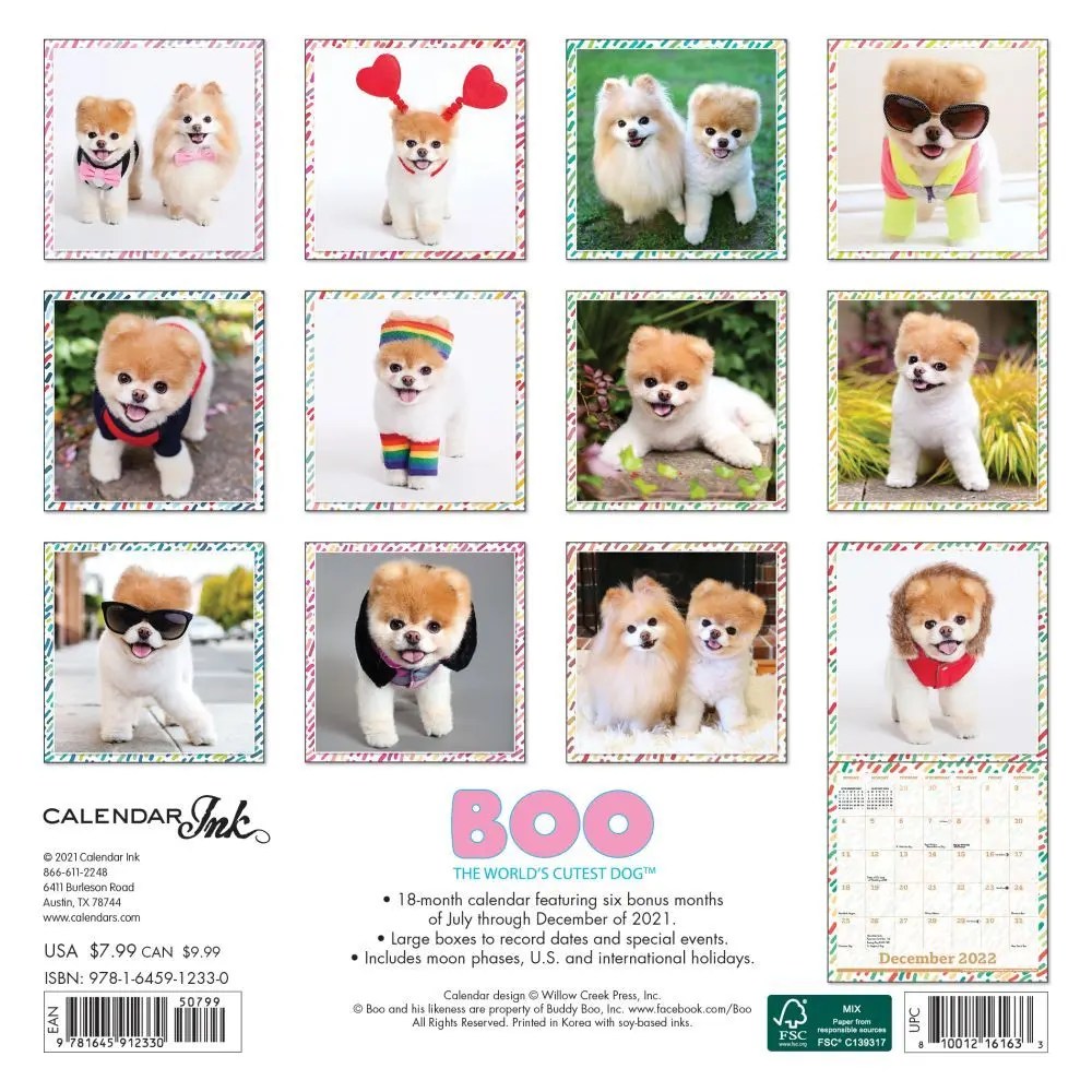 Boo 2022 Mini Wall Calendar - Calendars.com
