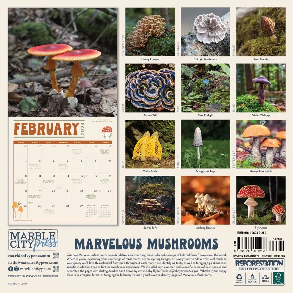 Mushroom Wall Calendar 2024