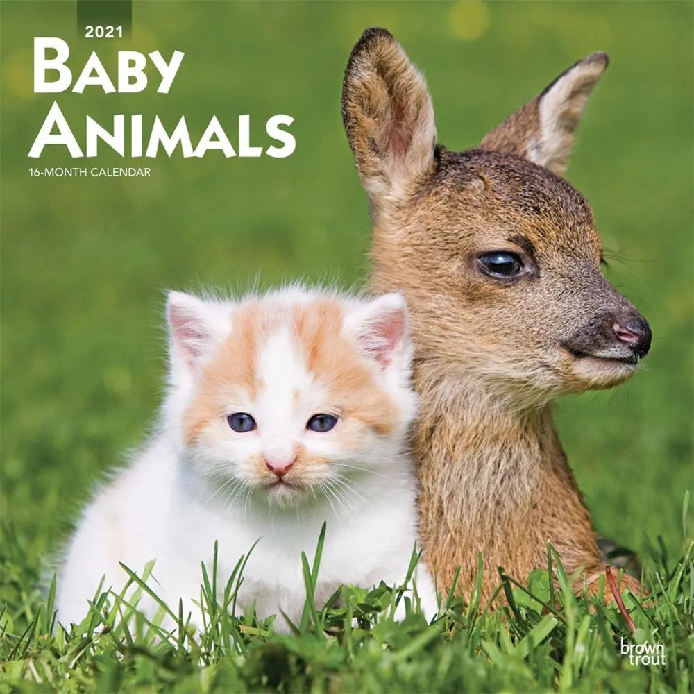 Free Animals Calendar 2024 Baby Animals Wall Calendar