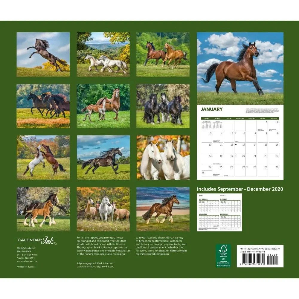 Horses In The Mist 2024 Calendar