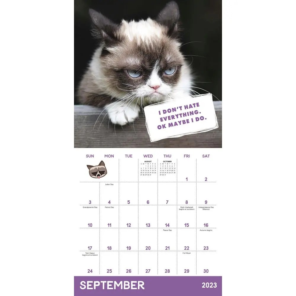 Grumpy Cat 2023 Mini Calendar