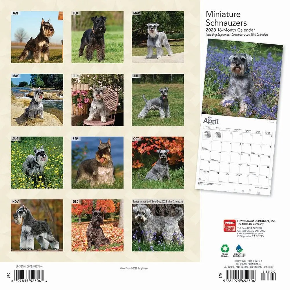 Miniature Schnauzers 2023 Wall Calendar