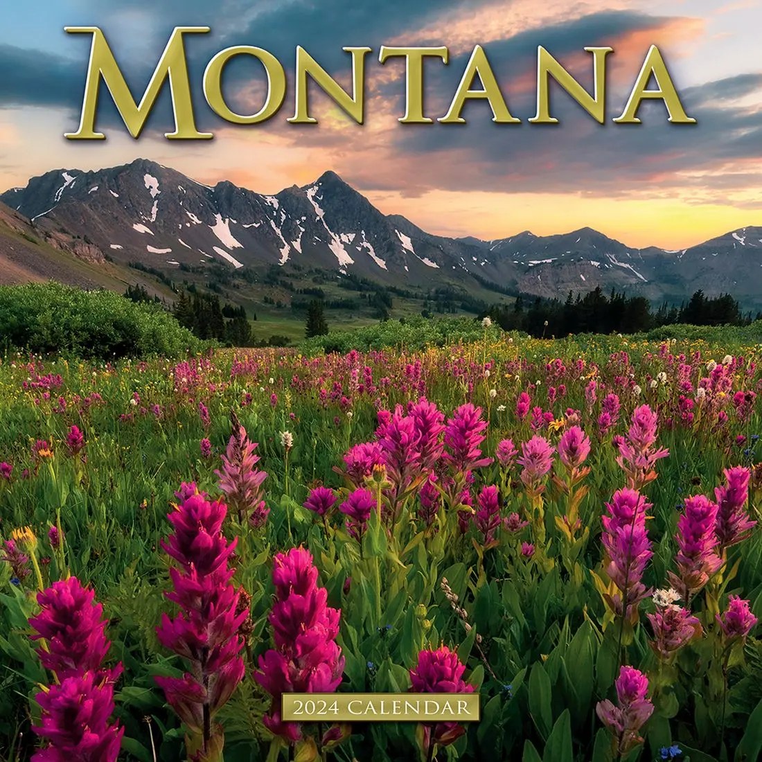 2024 Montana Calendar