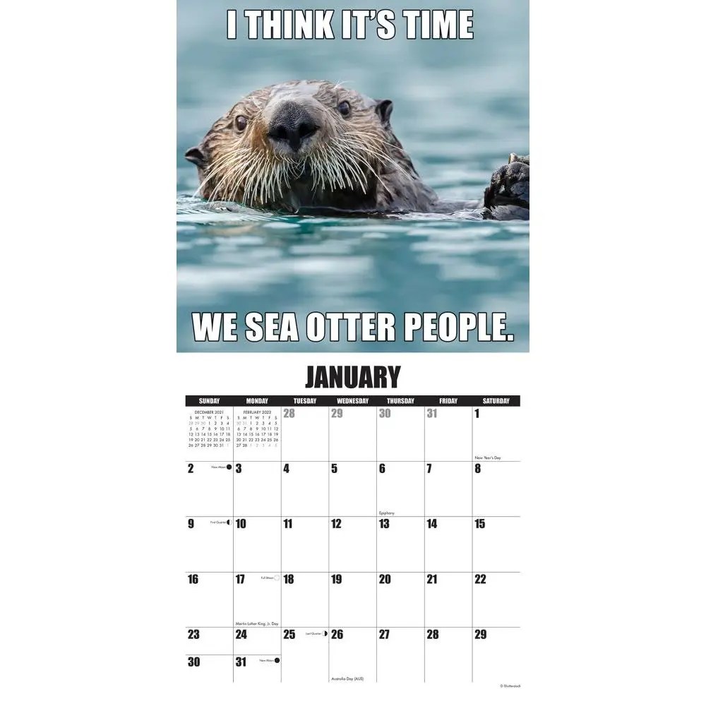 In Otter News 2022 Wall Calendar - Calendars.com
