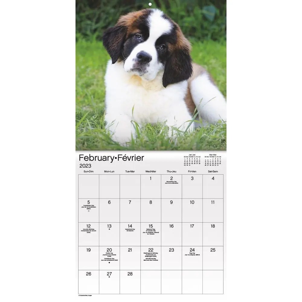 2023 Puppy Calendar Puppies Bilingual 2023 Wall Calendar