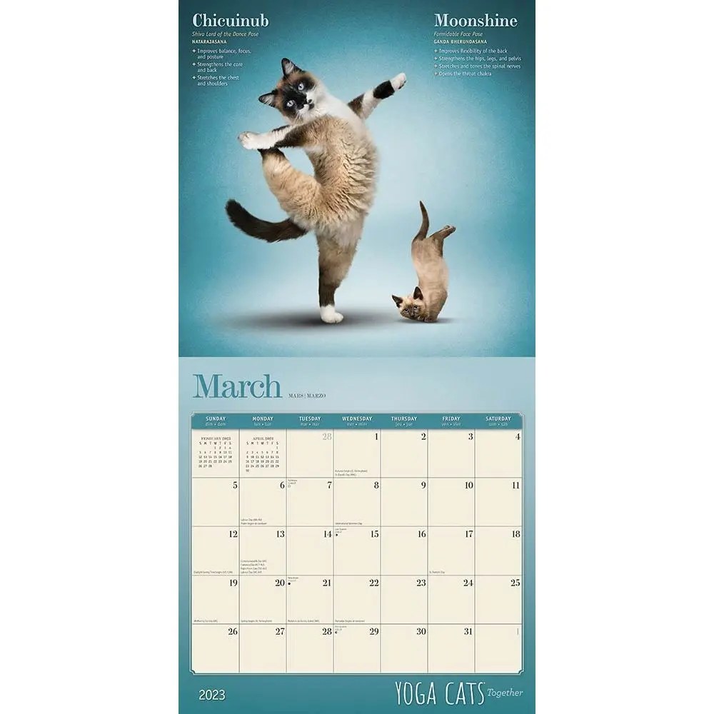 Yoga Cats Together Plato 2023 Wall Calendar