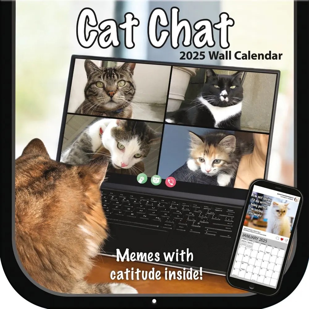 Cat Chat 2025 Wall Calendar