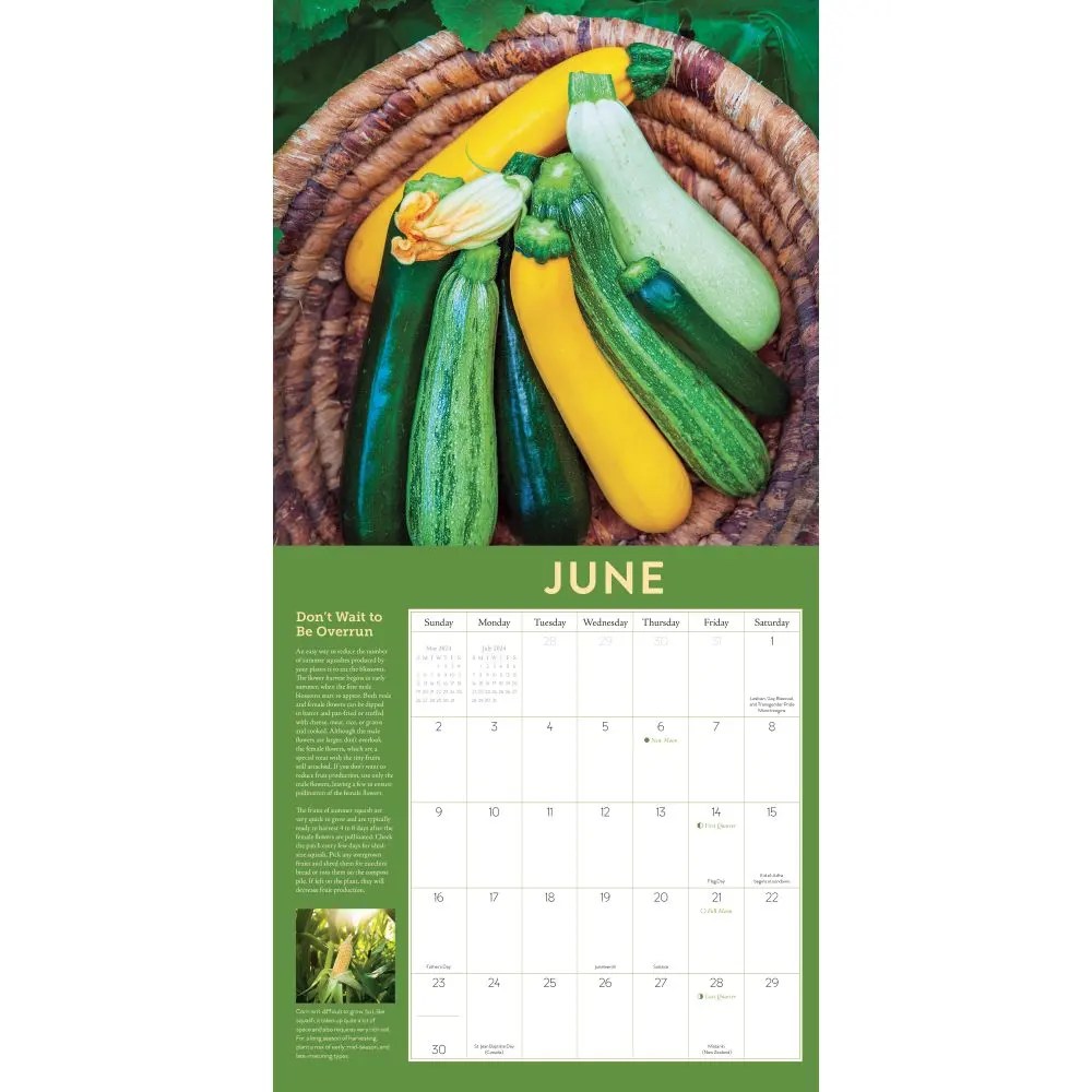 Central Texas Gardener Calendar 2024 Vegetable Gardener 2024 Wall Calendar
