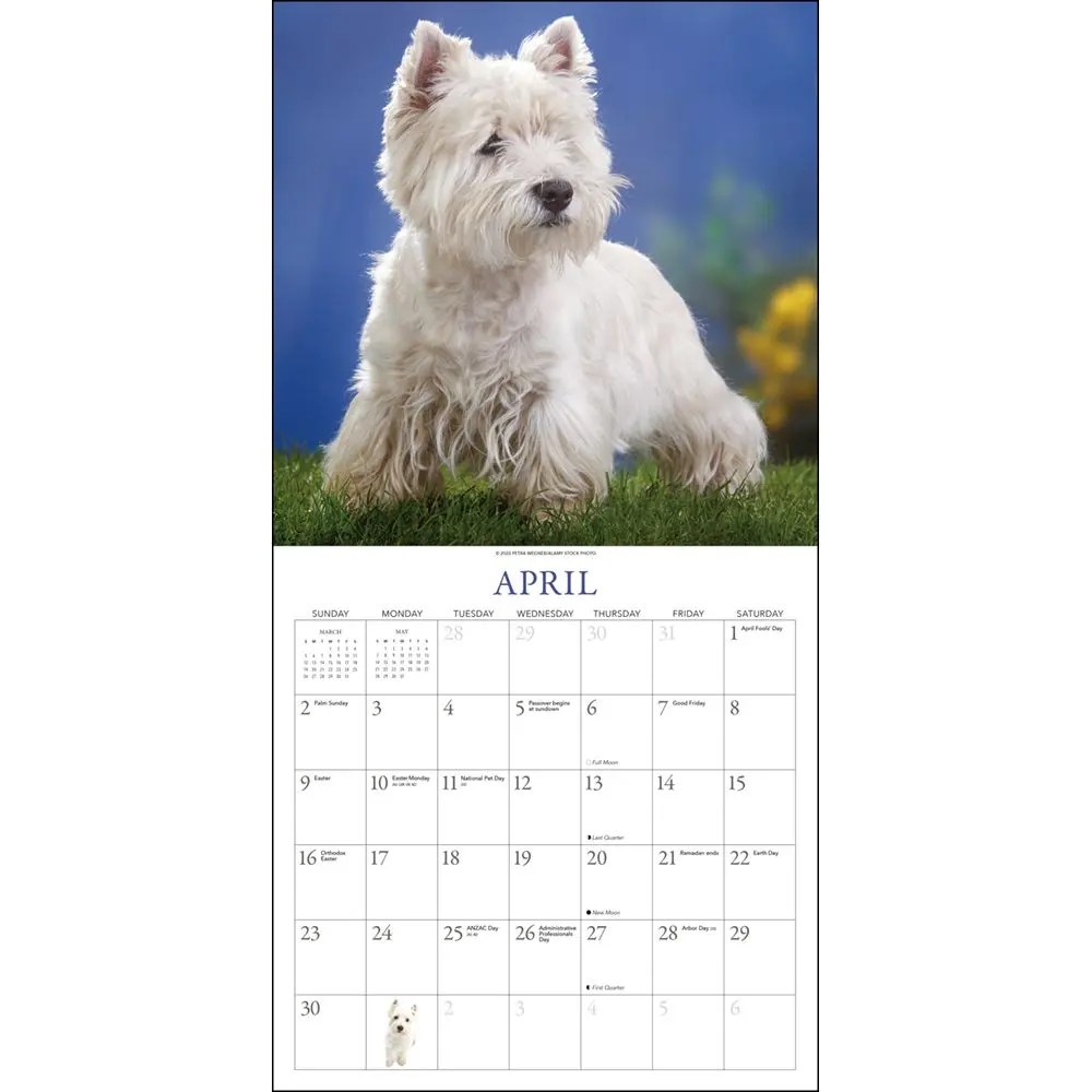 Westies 2023 Calendar