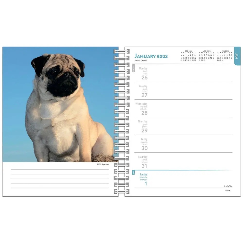 Pugs 2023 Engagement