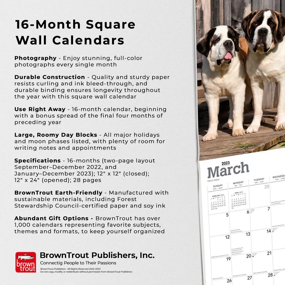 Saint Bernards 2023 Square Wall Calendar