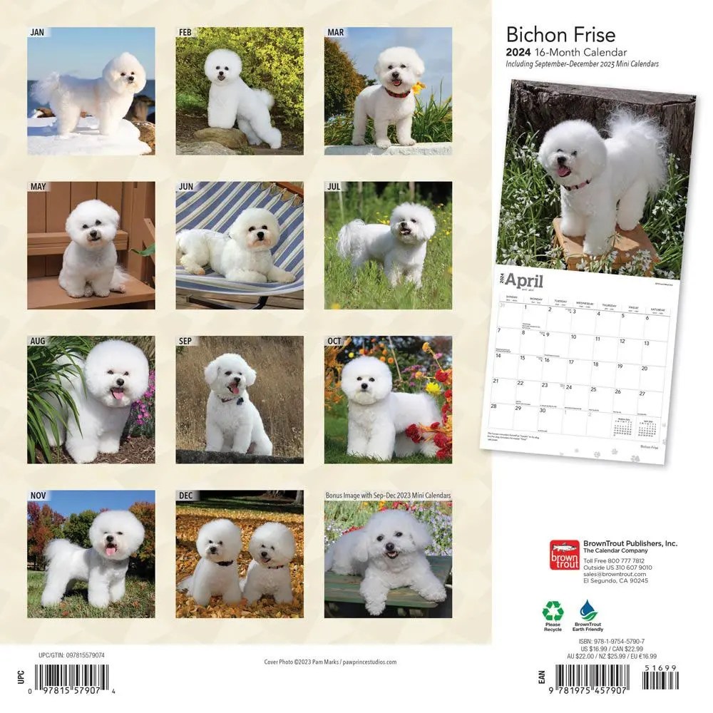 Bichon Calendar 2024