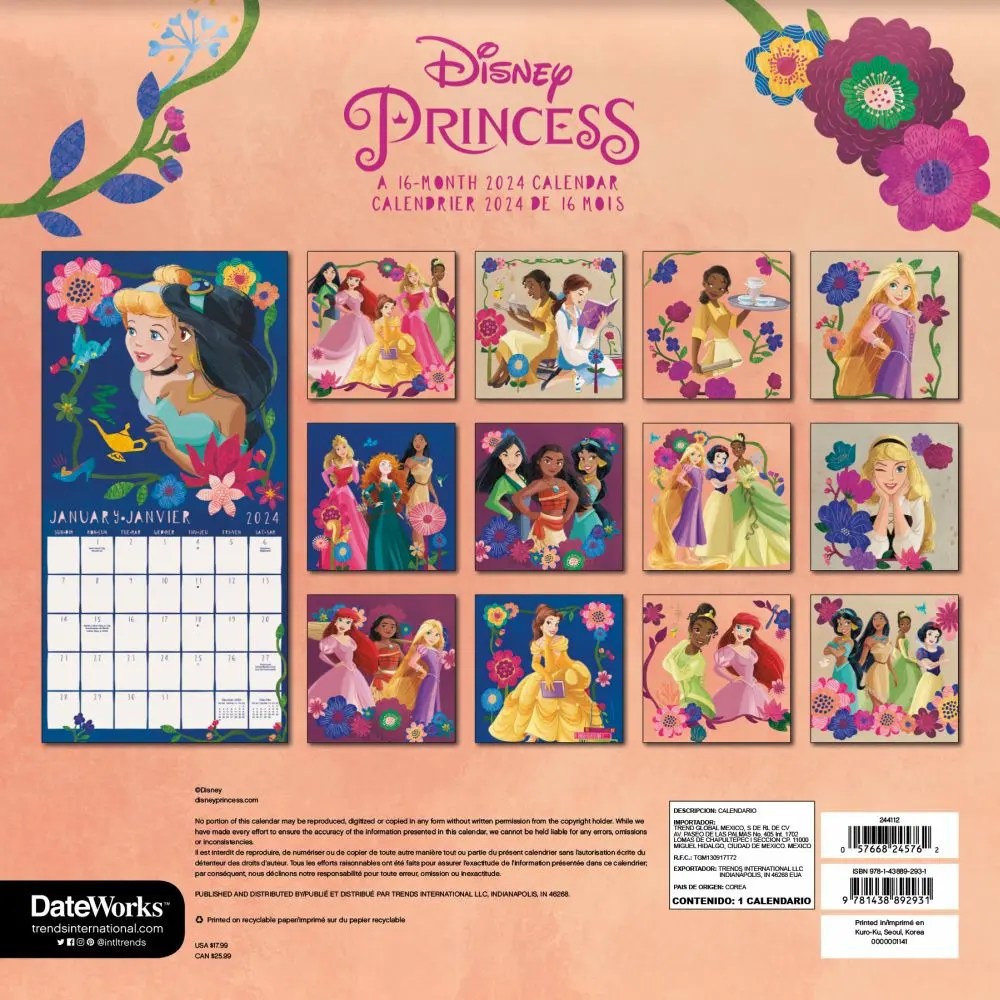 Disney Princess 2024 Wall Calendar FR