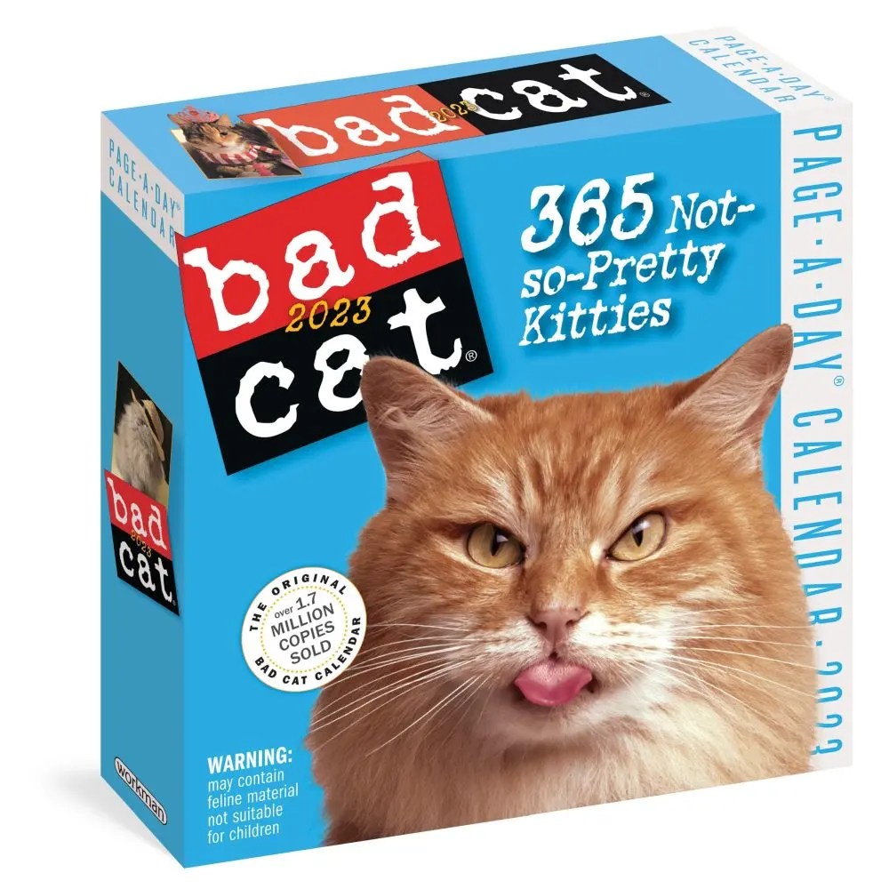 Bad Cat Color 2023 PageADay Calendar