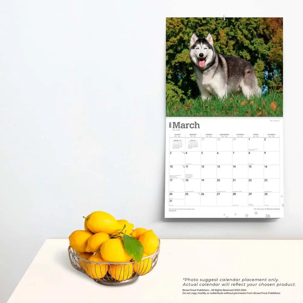 Siberian Huskies Deluxe 2024 Wall Calendar
