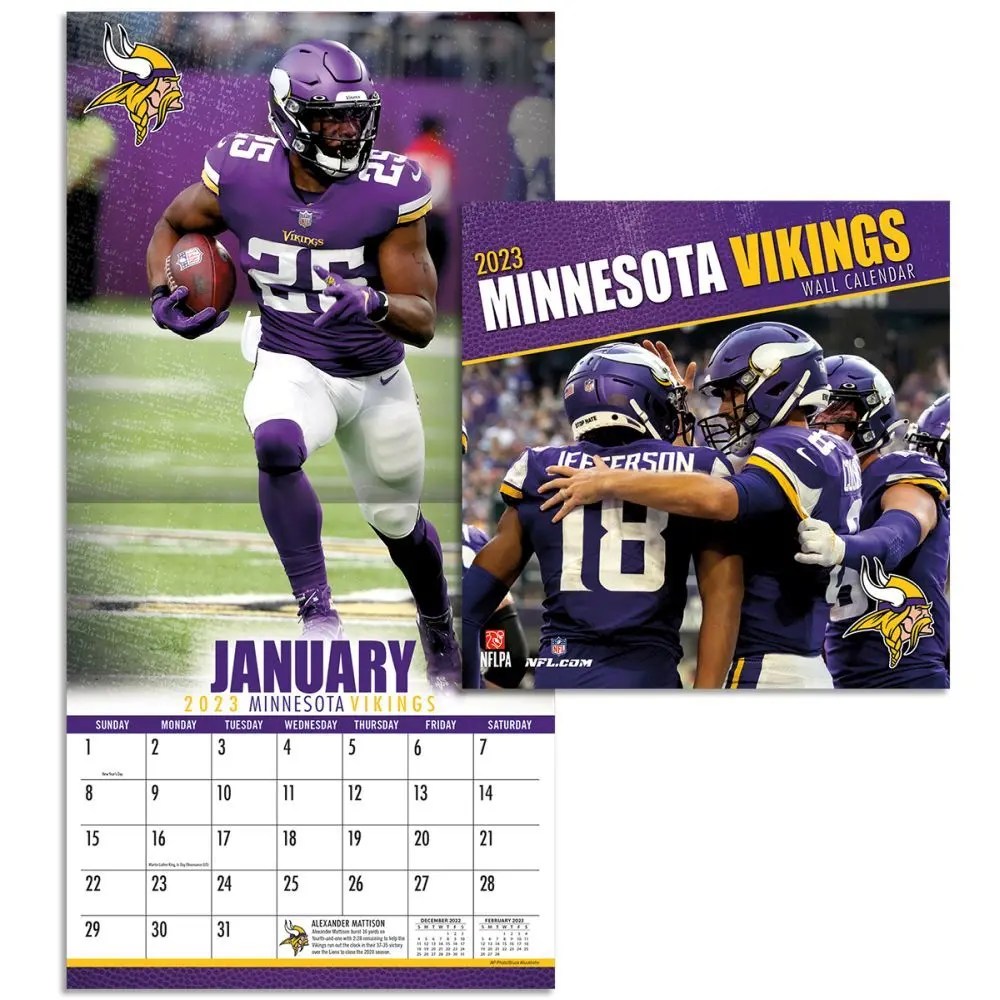 NFL Minnesota Vikings 2023 Mini Wall