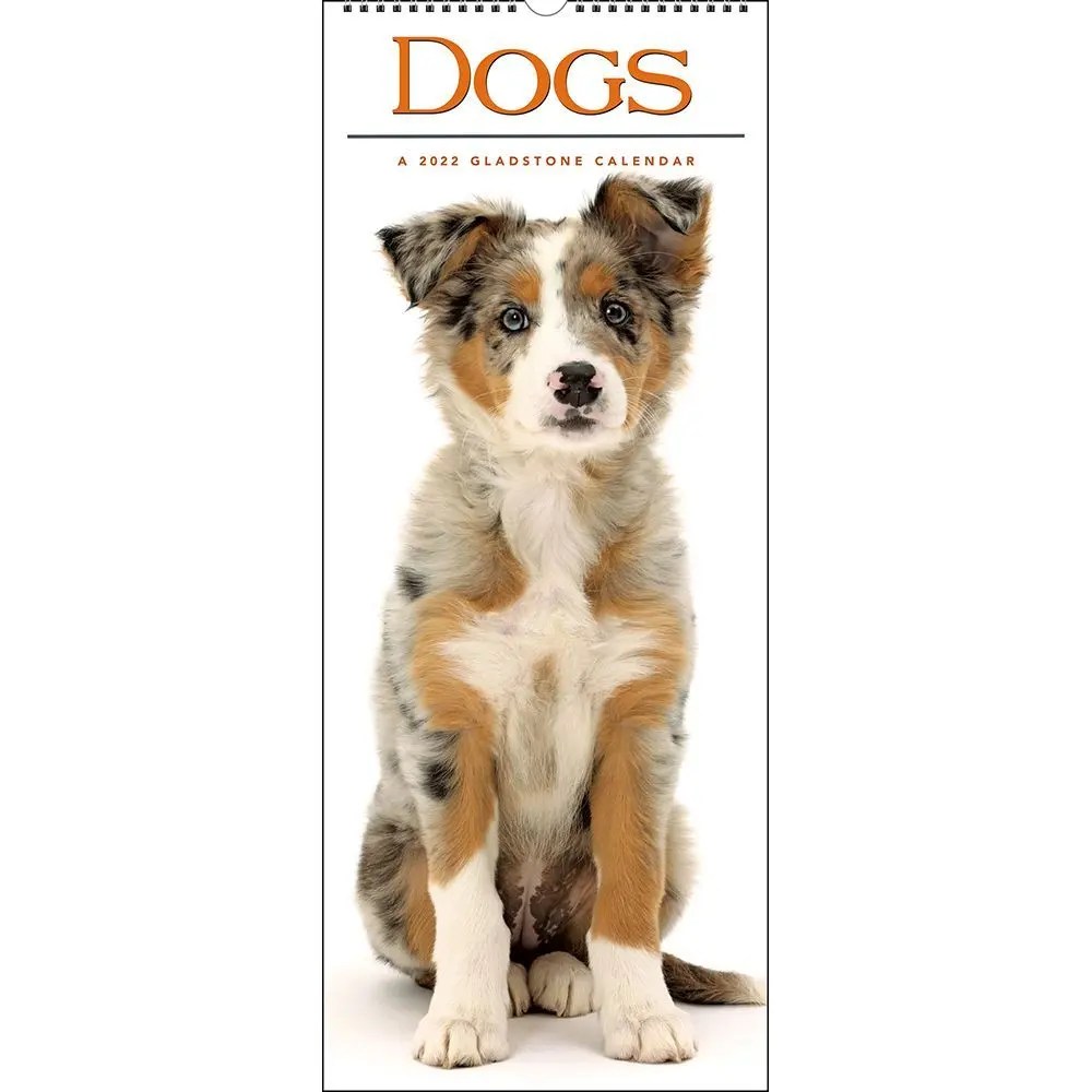 Dogs Vertical 2022 Wall Calendar