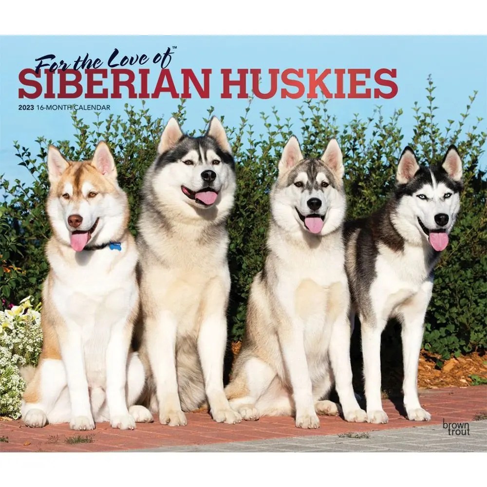 Siberian Huskies For the Love of 2023 Deluxe Wall Calendar