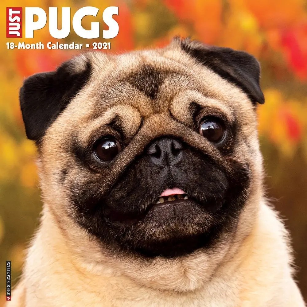 2021 Pugs Calendars