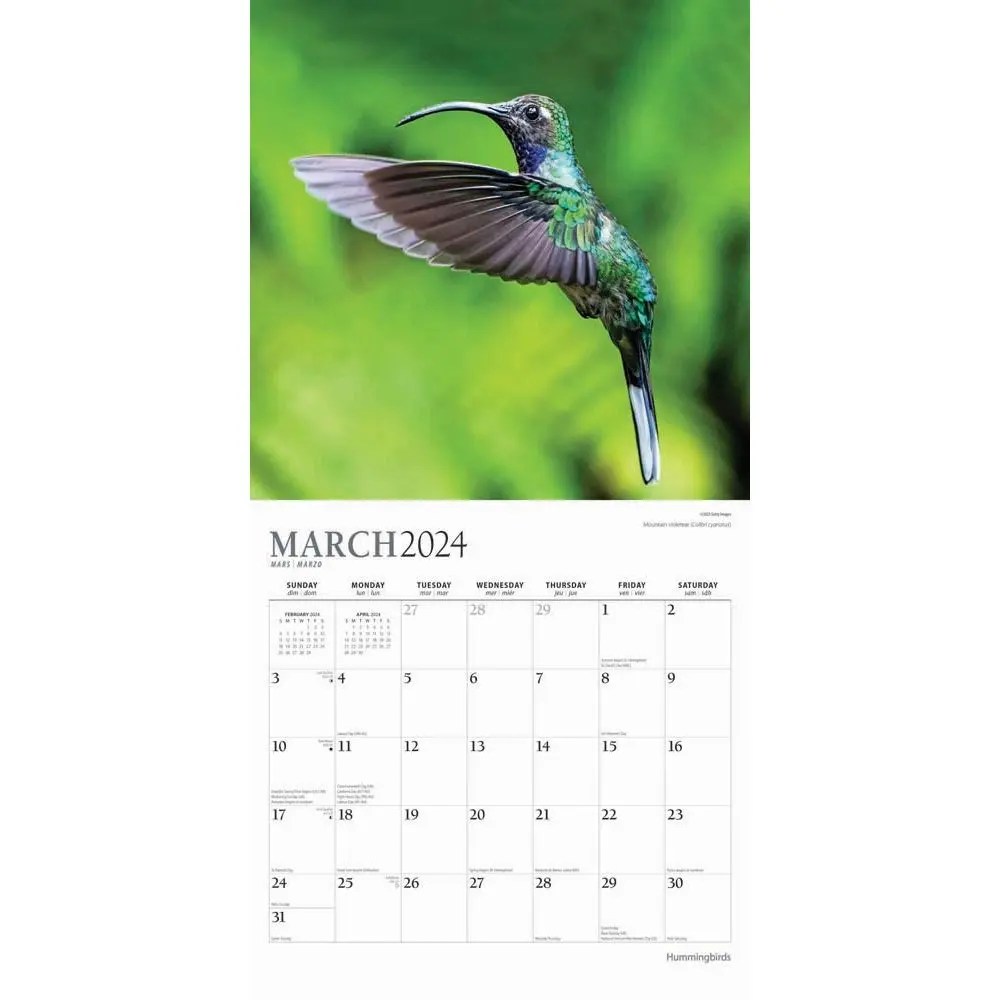 Hummingbird Calendar 2025
