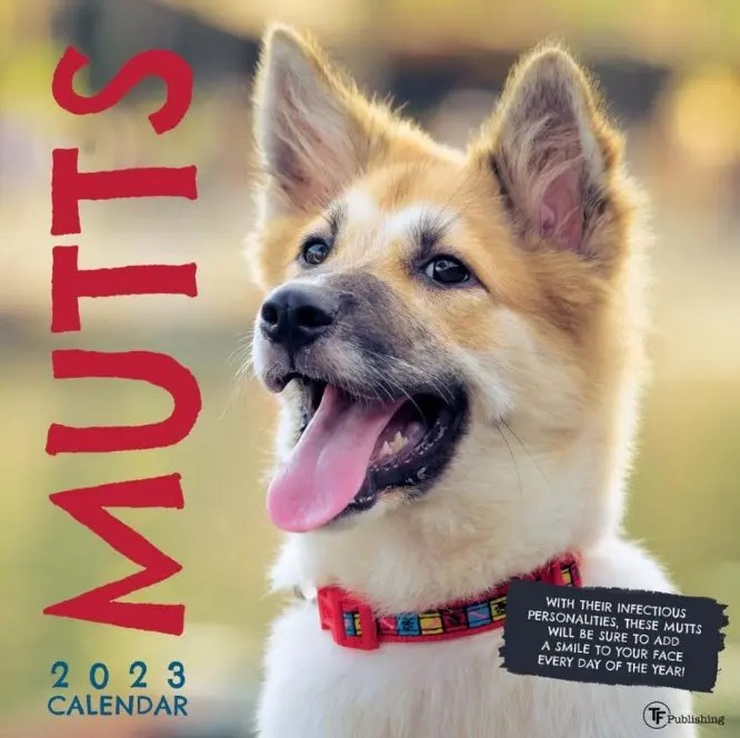 Mutts 2023 Calendar