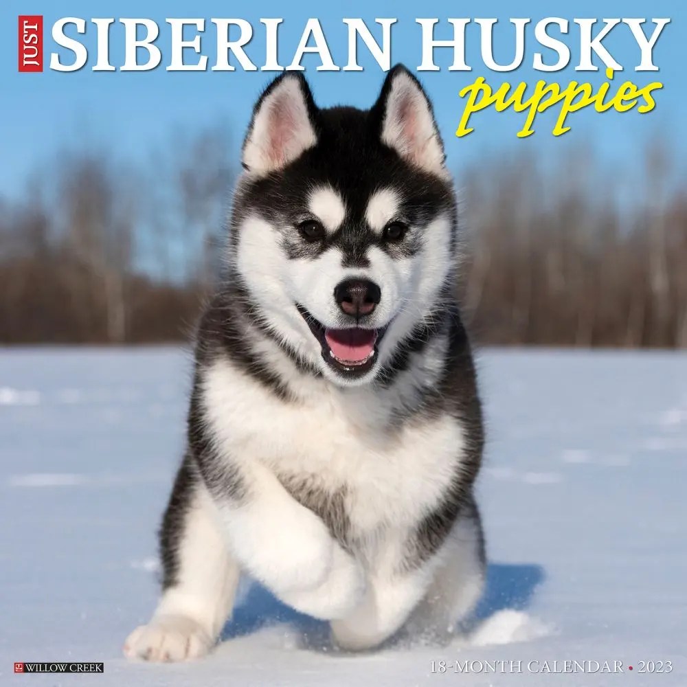 Siberian Husky Puppies 2023 Calendar