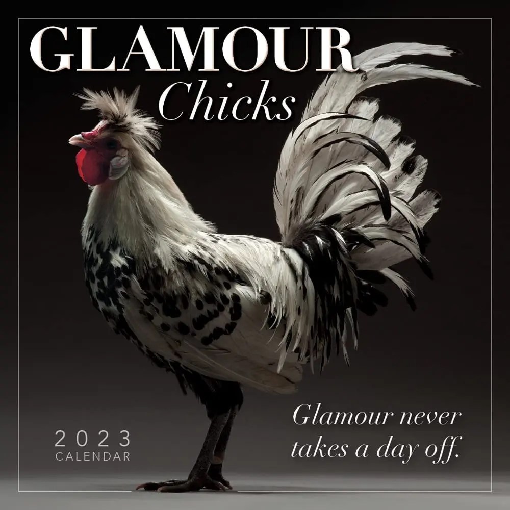 när börjar glamour 2023 Glamour Chicks 2023 Mini Wall Calendar - Calendars.com