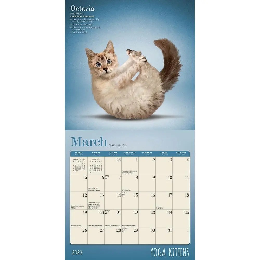 7x7 wall calendar 2023 Yoga Kittens 2023 Mini Wall Calendar 7x7