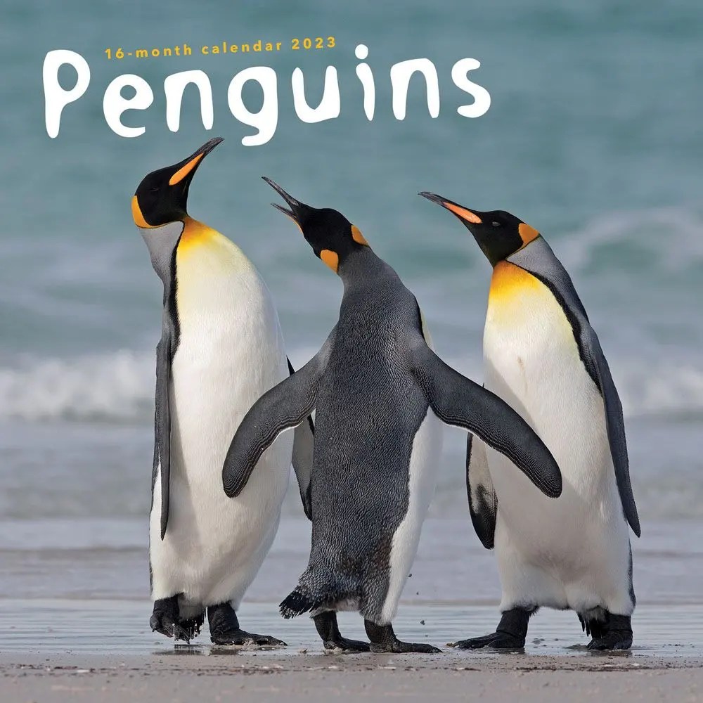 Penguins 2023 Calendar
