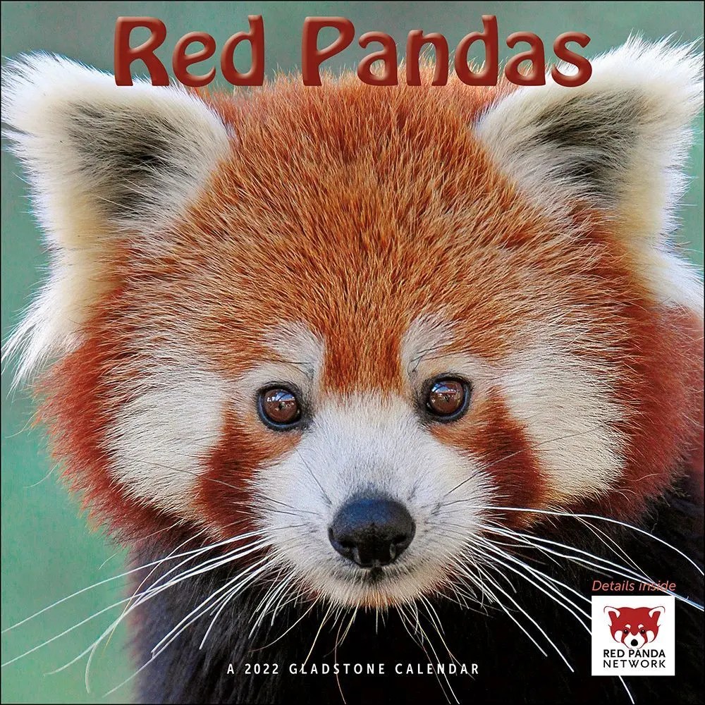 Red Pandas 2022 Calendars