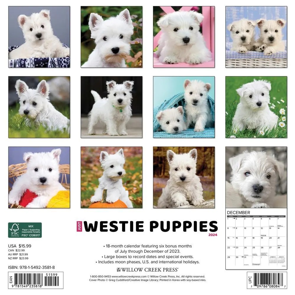 Westie Calendar 2024 Westie Puppies Just 2024 Wall Calendar