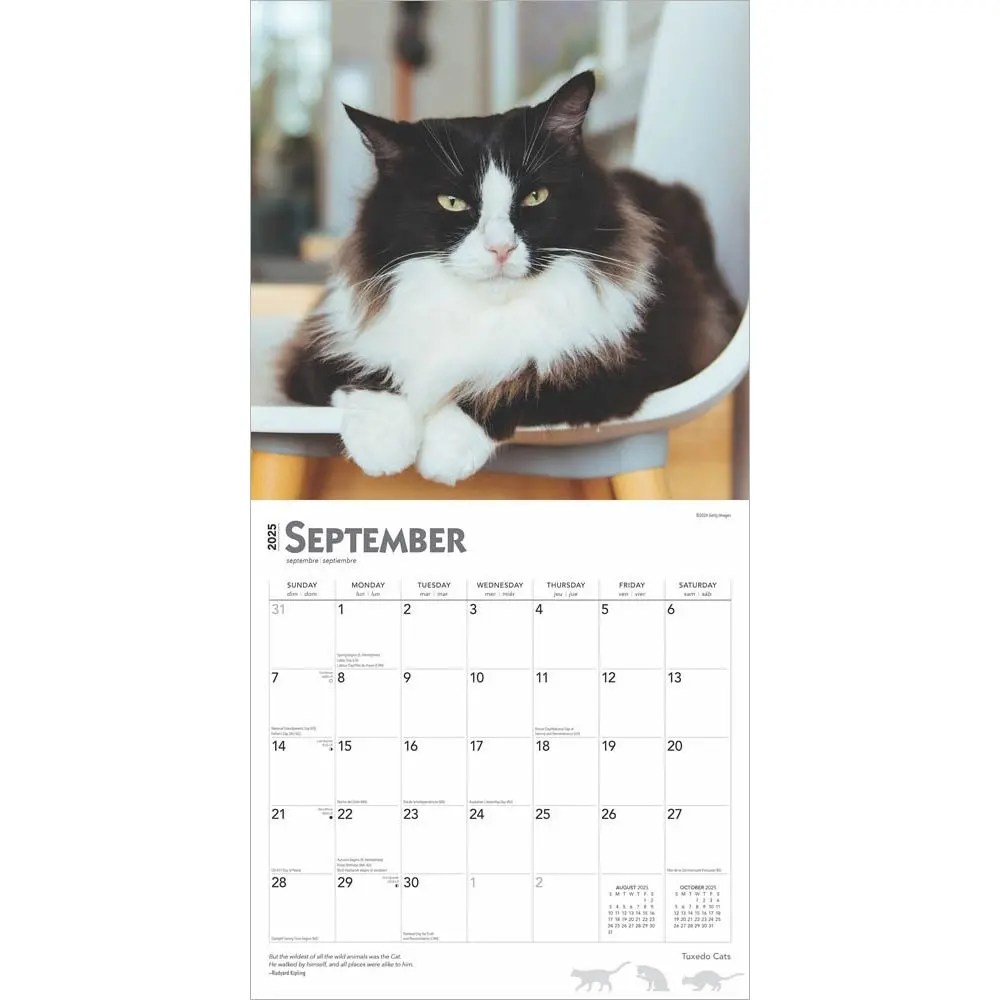 Tuxedo Cats 2025 Wall Calendar
