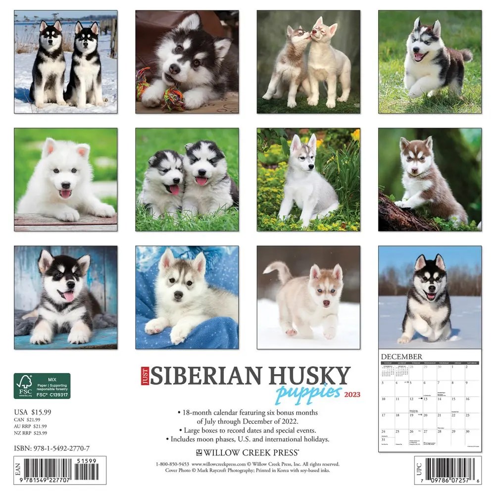 Siberian Husky Puppies 2023 Calendar