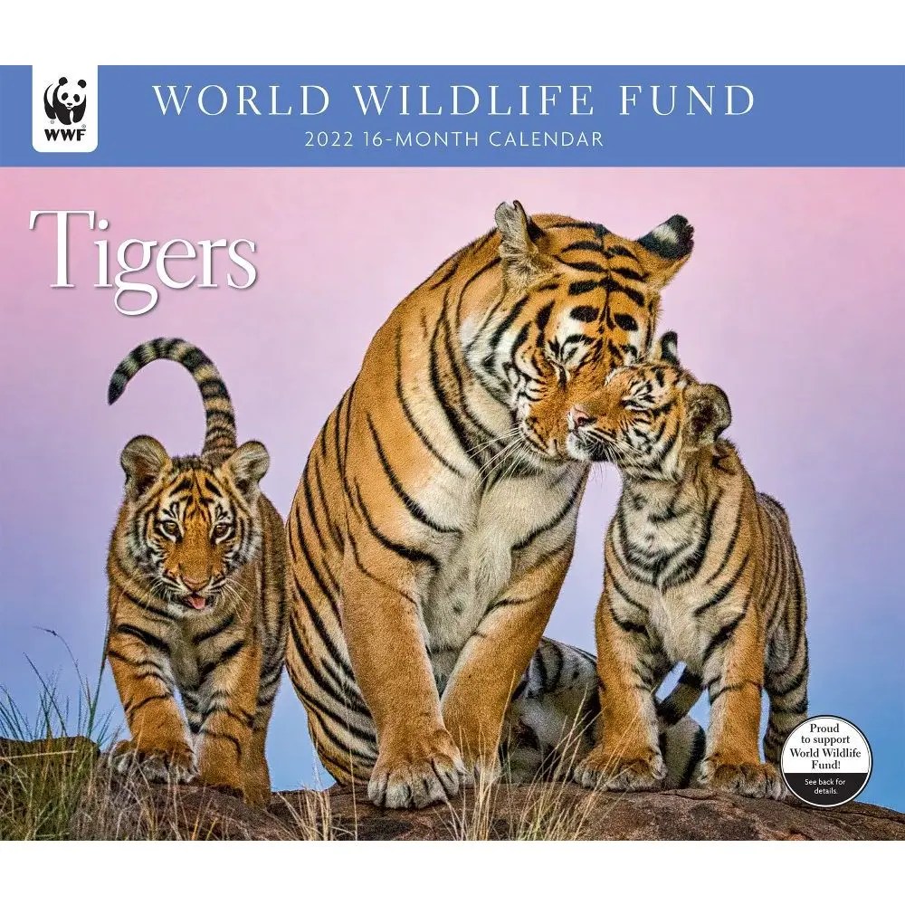 Wwf Calendar 2024 Uk Calendario Wwf 2022 Calendario Festivita