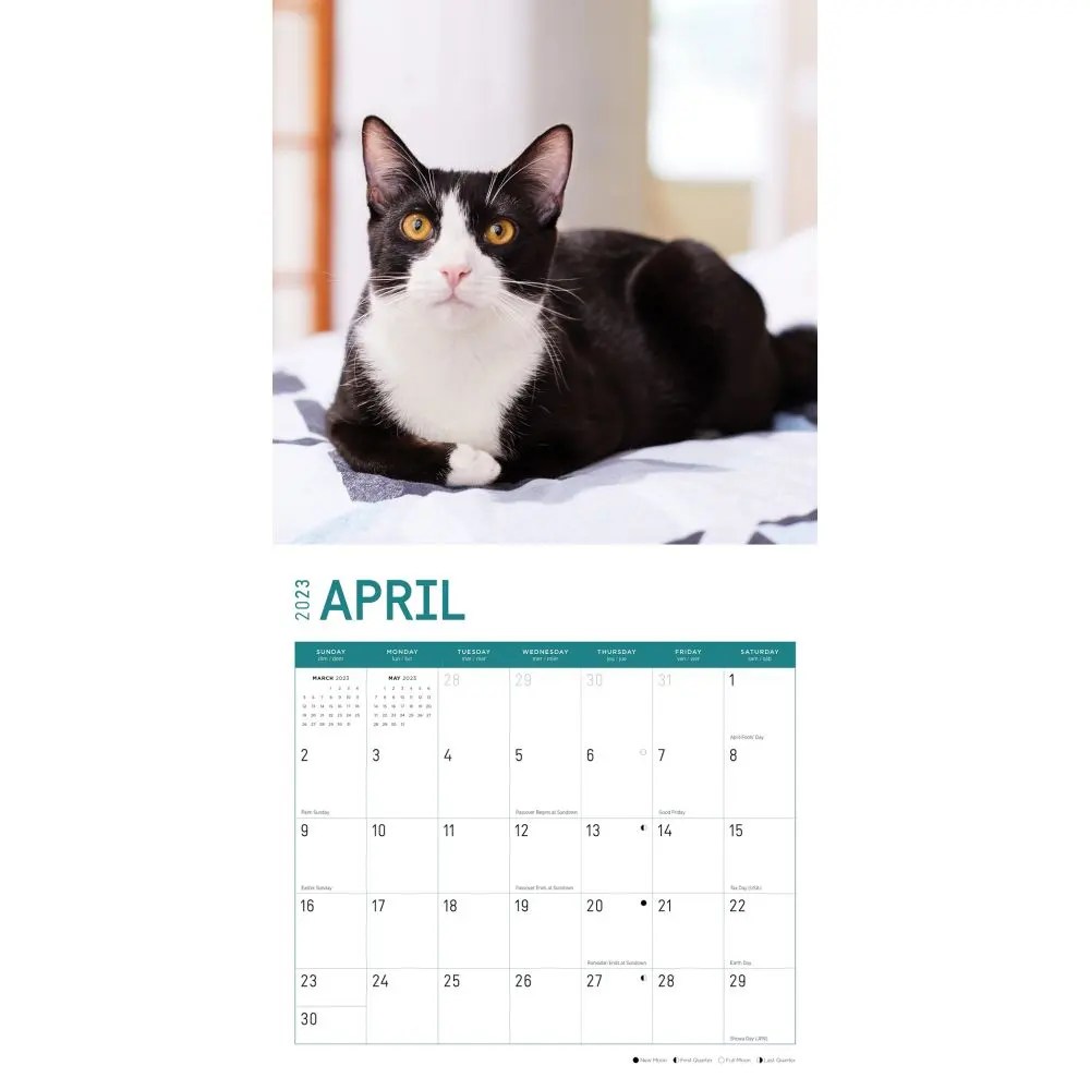 TuxedoCats2023WallCalendar