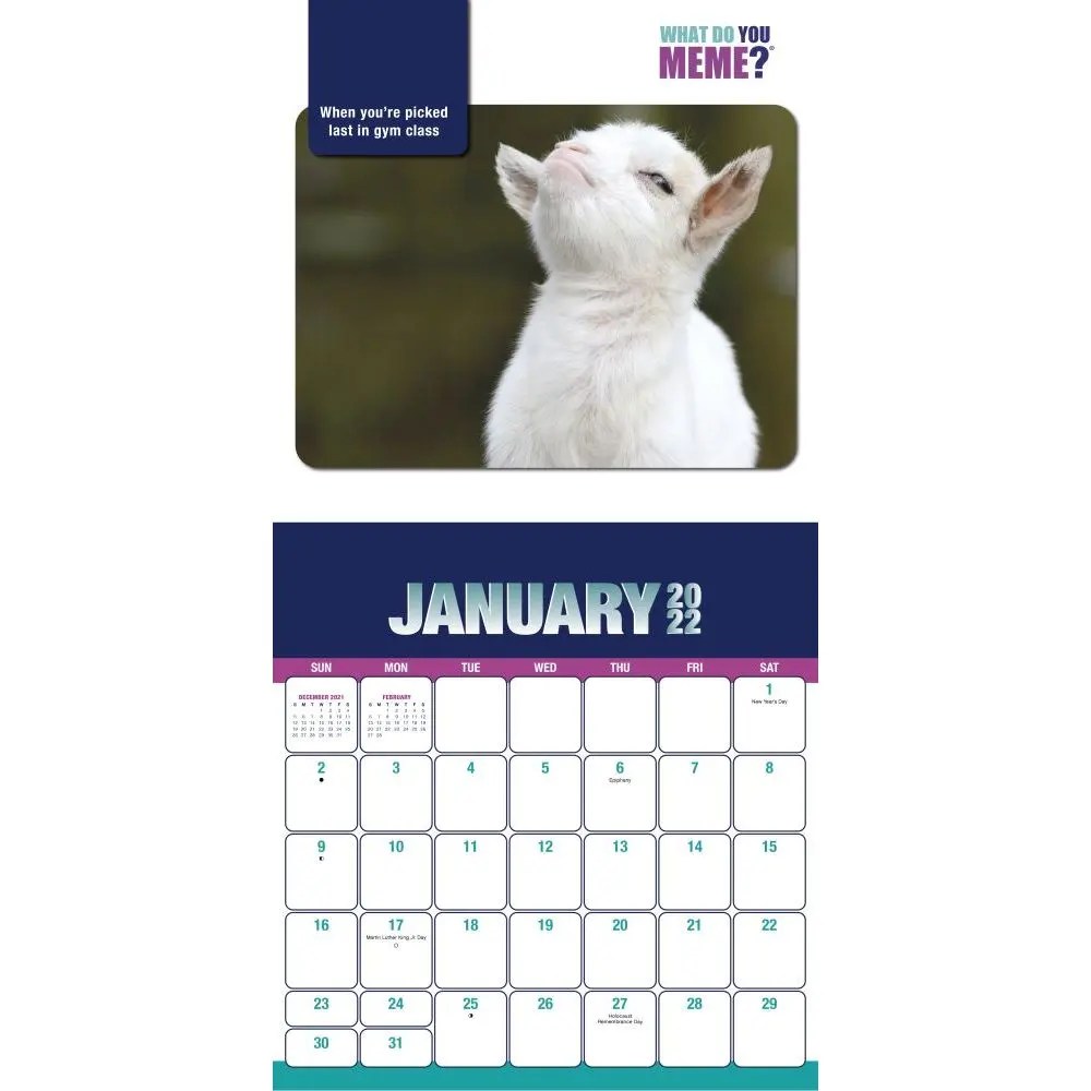 2022 Meme Calendar What Do You Meme 2022 Box Calendar By Trends International | '9781438881652 – Calendar Club Of Canada