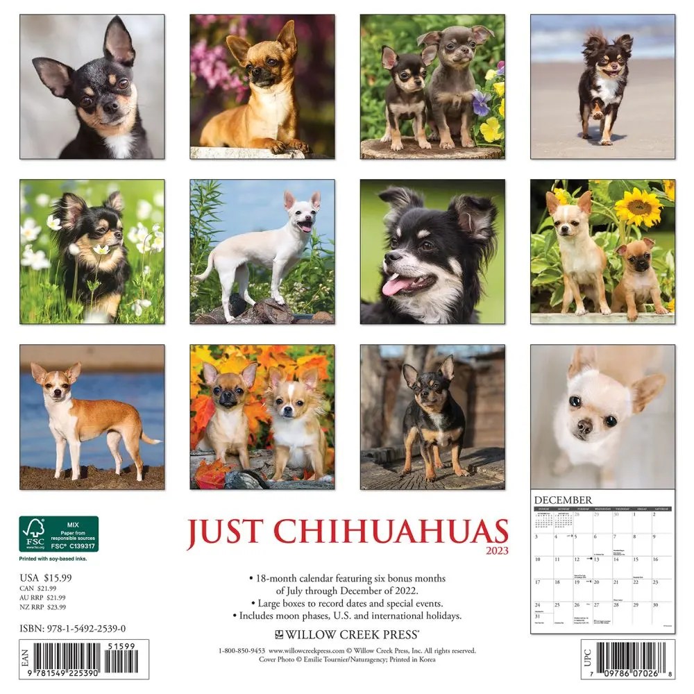 Just Chihuahuas 2023 Wall Calendar