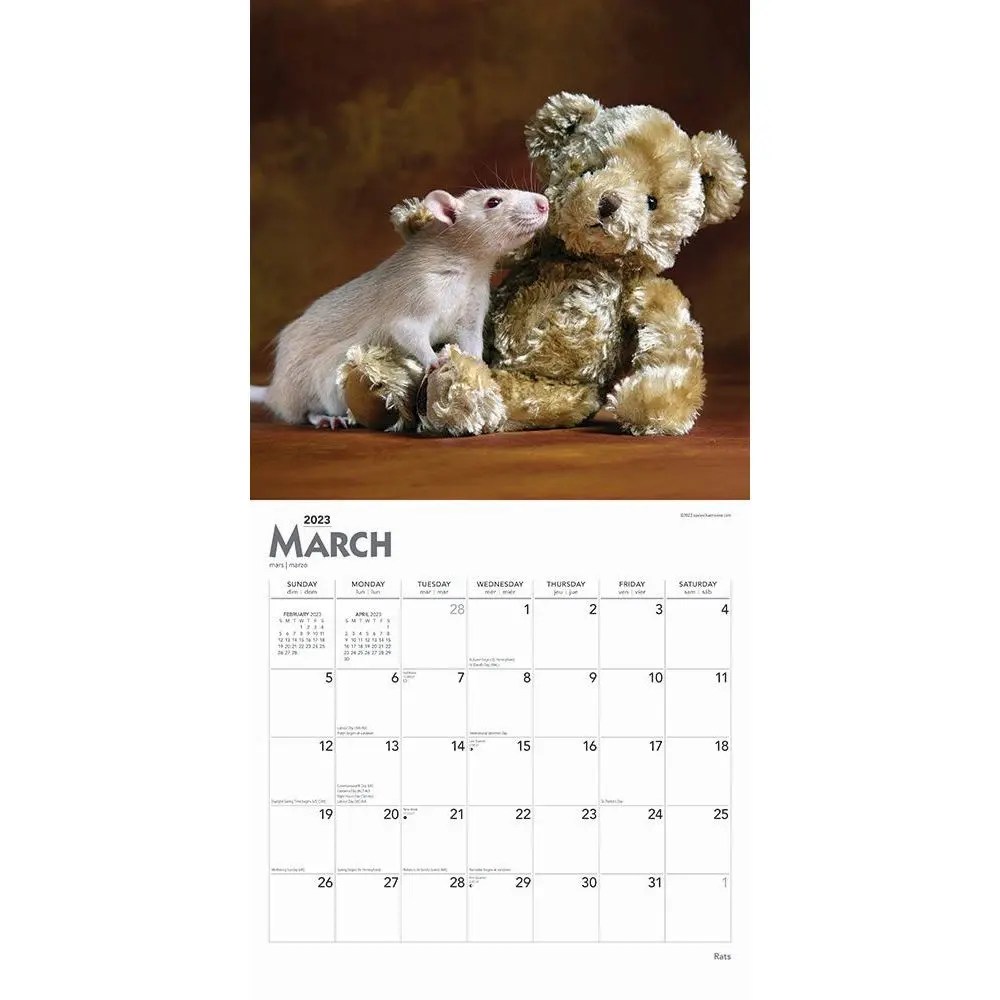 Rats 2023 Wall Calendar