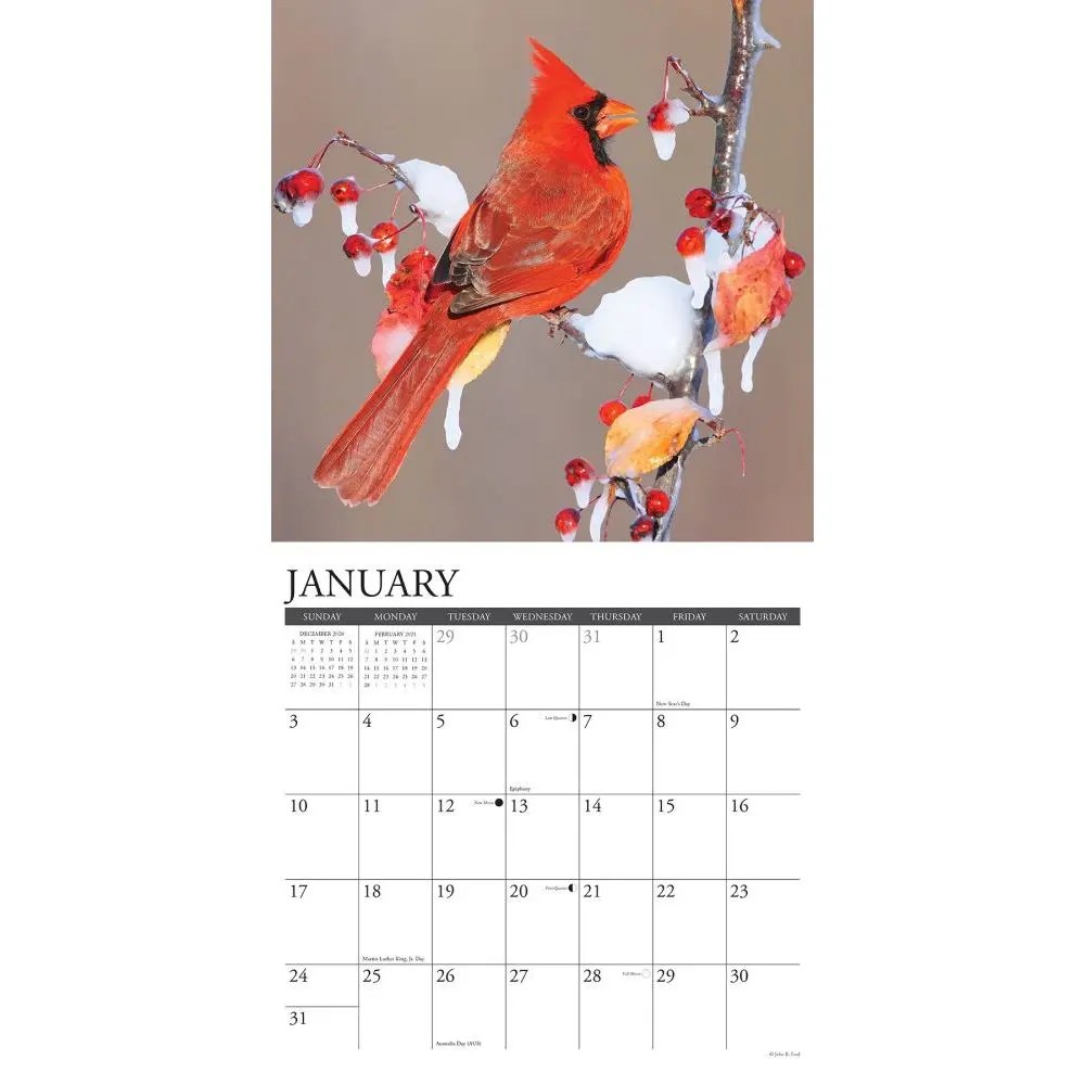 Cardinals Wall Calendar