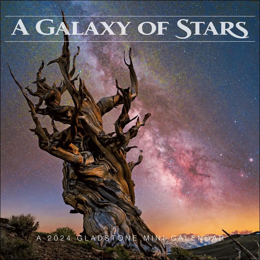 Galaxy of Stars 2024 Mini Wall Calendar