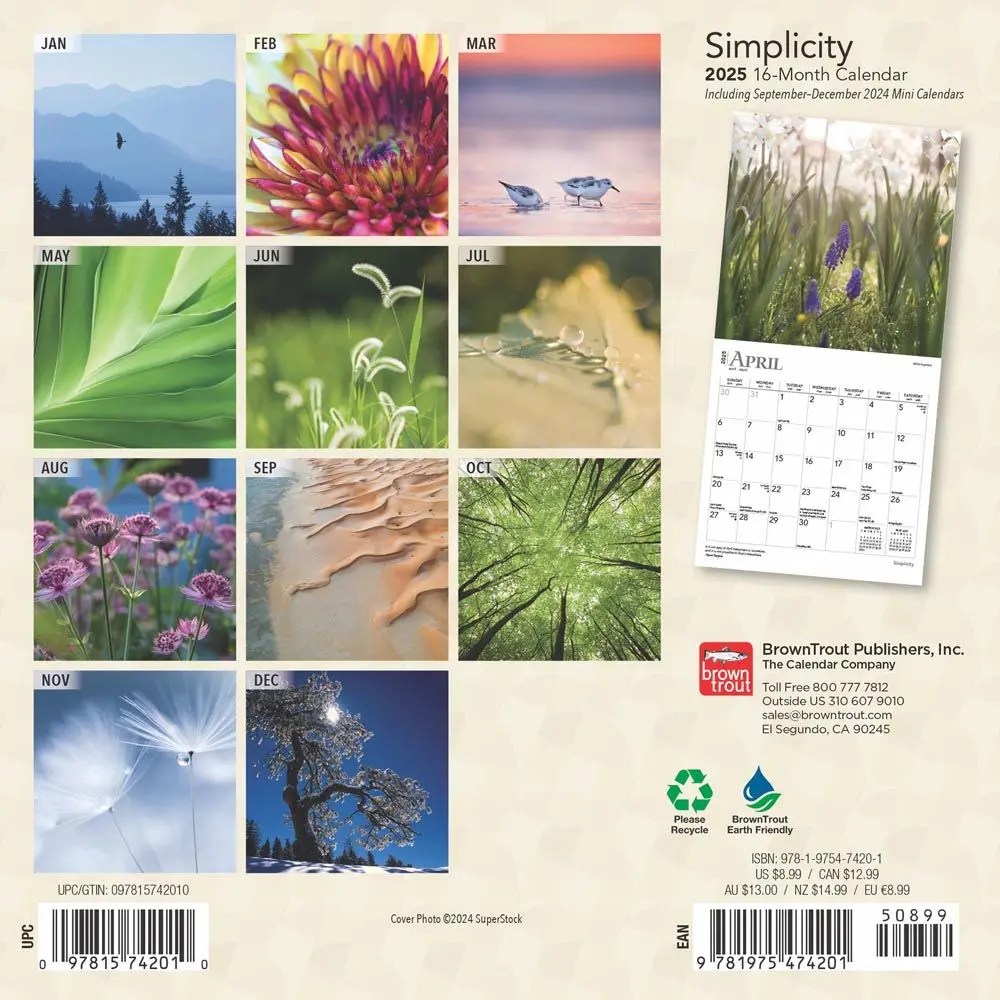 Simplicity 2025 Mini Wall Calendar