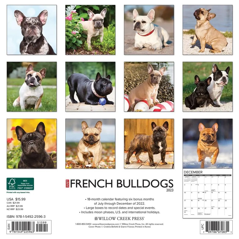 French Bulldogs 2023 Wall Calendar